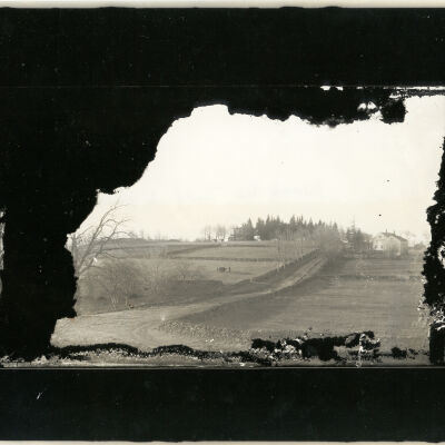 Wood Road view