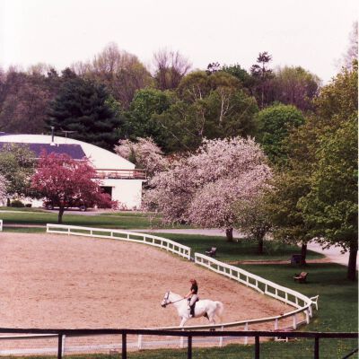 Sunnyfield Farm, 1994, Route 172