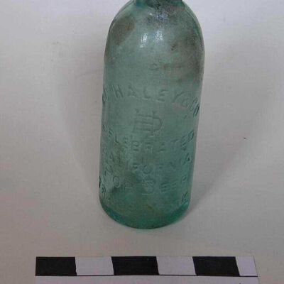 Bottle
