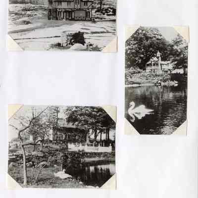 Lyon Homestead Scrapbook, Sheet 2