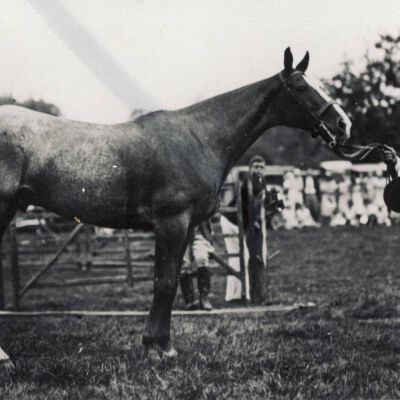 Tanrackin Farm Horse Show, September 13, 1930