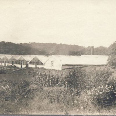 The Alfred J. Tharp House and Nursery