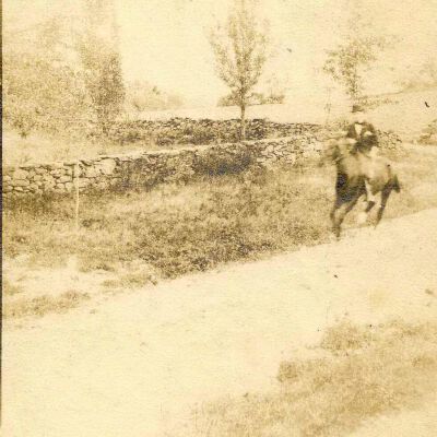 Unknown horseback rider