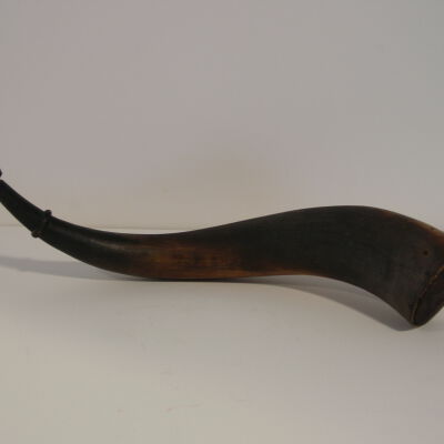 Horn, Powder
