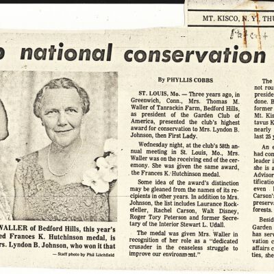 Newspaper