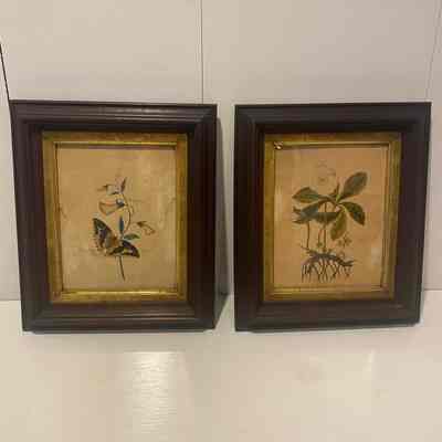Ann Augusta Clark Water Color Paintings