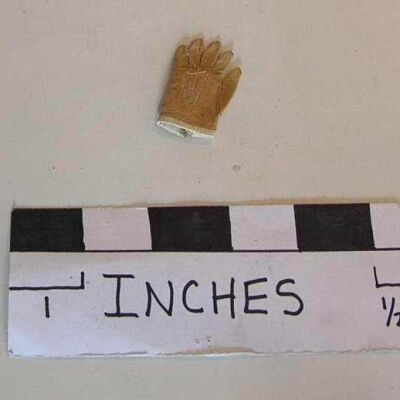 Glove
