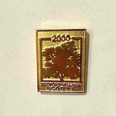 Boy Scouts Pin
