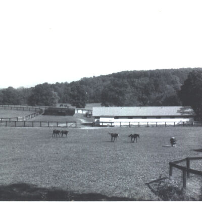 Horse breeding farm (Sunnyfield?) started in about 1979.