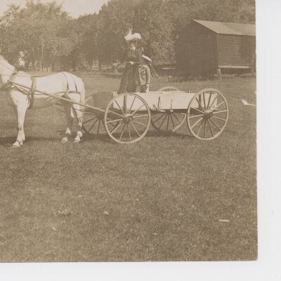 Woman and child in horse and buggy