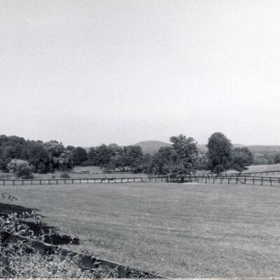 Sunnyfield Farm