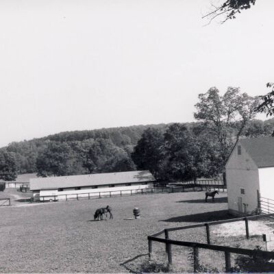 Sunnyfield Farm