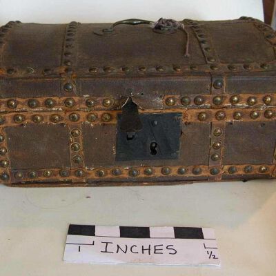 Trunk