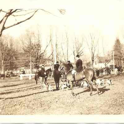 Horse Tournament at Historical Hall