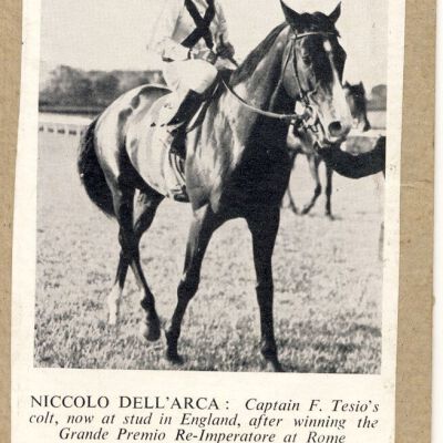 Print, Photographic