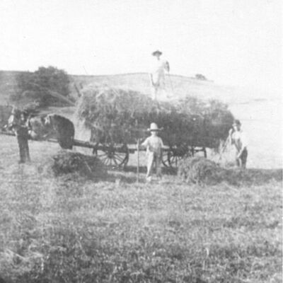 Farmers loading hay onto wagon