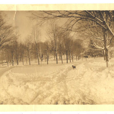 village green from pound ridge road in snow, with dog in foreground