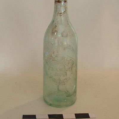 Bottle