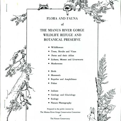 Flora and Fauna of the Mianus River Gorge Wildlife Refuge and Botanical Preserve, 1977