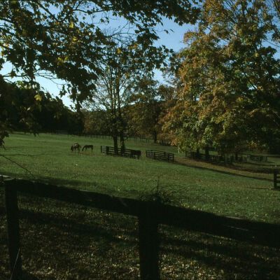 Sunnyfield Farm