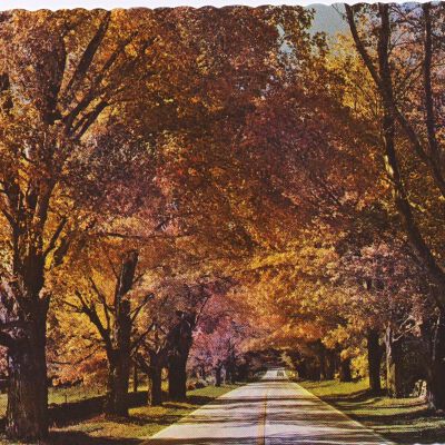Bedford Center Road