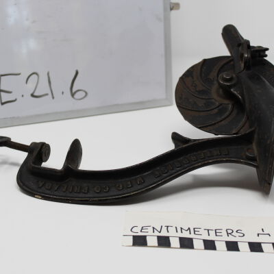 Pitter, Fruit