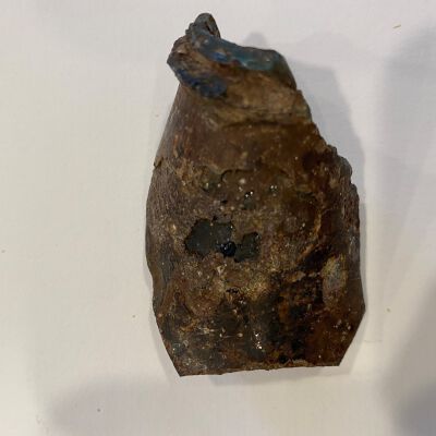 sherd
