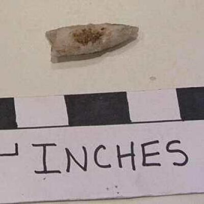 Point, Projectile