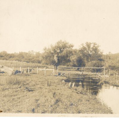 photograph