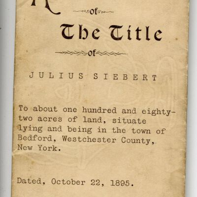Copy of Abstract of The Title for Julius Siebert