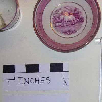 Saucer