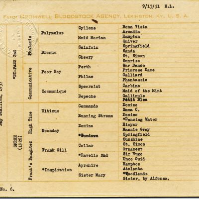 Print, Photographic