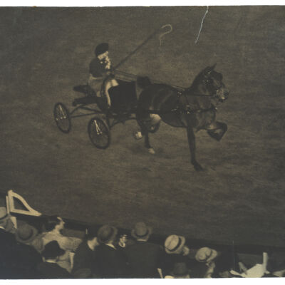 horse and driver at the National Horse Show, Madison Square GARDEN