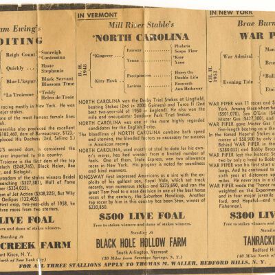 Newspaper ad for stallions referencing Tanrackin Farm