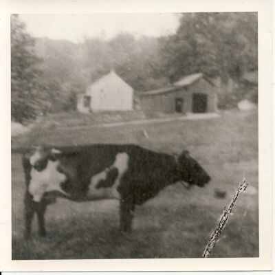 Photograph