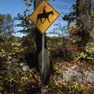 Horse Crossing