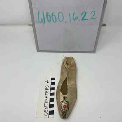 Shoe