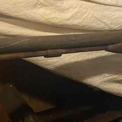 Musket