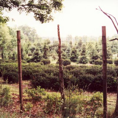 Bedford Nursery, 1994, on Greenwich Road