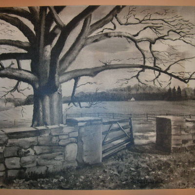 drawing