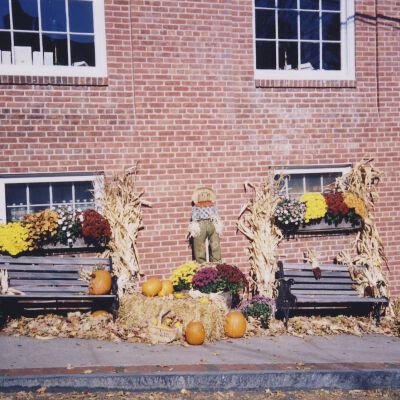 Stewart's Harvest Display