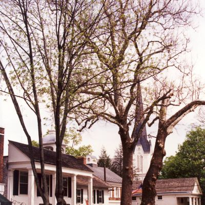 Village Green, 1994