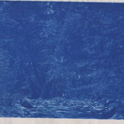 River and Trees