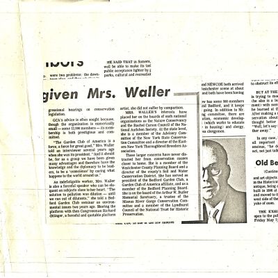 Newspaper