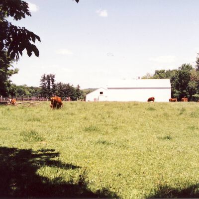 Cantitoe Corners Farm