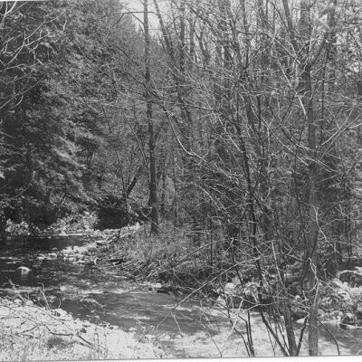 River Hills, Bedford
