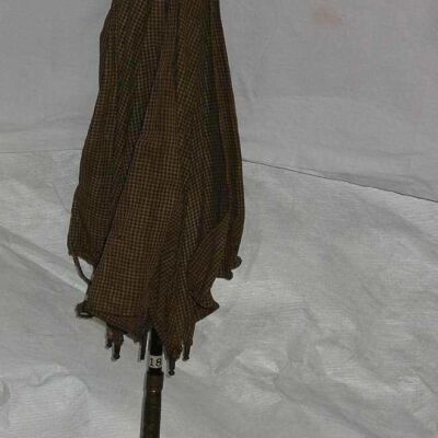 Parasol