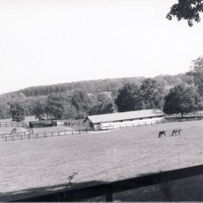 Sunnyfield Farm