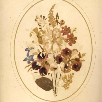 Flower Montage made of pressed flowers and ferns
