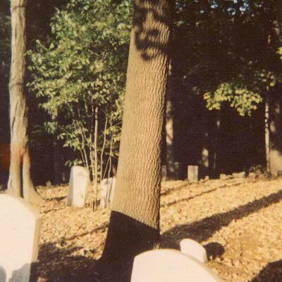 Zarr Cemetery